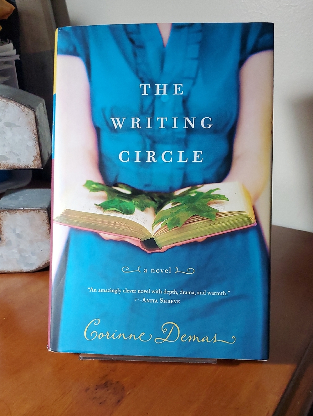 The Writing Circle by Corinne Demas - Bright Teal Hardcover (10)